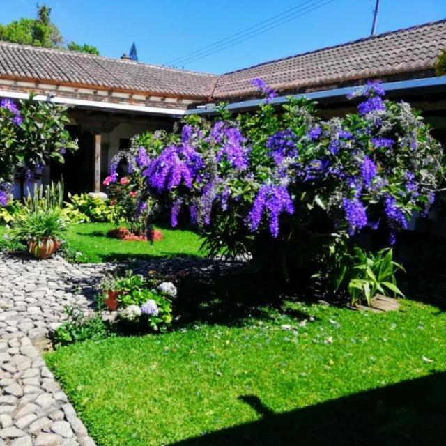 Hostal San Nicolas Antigua Exterior photo