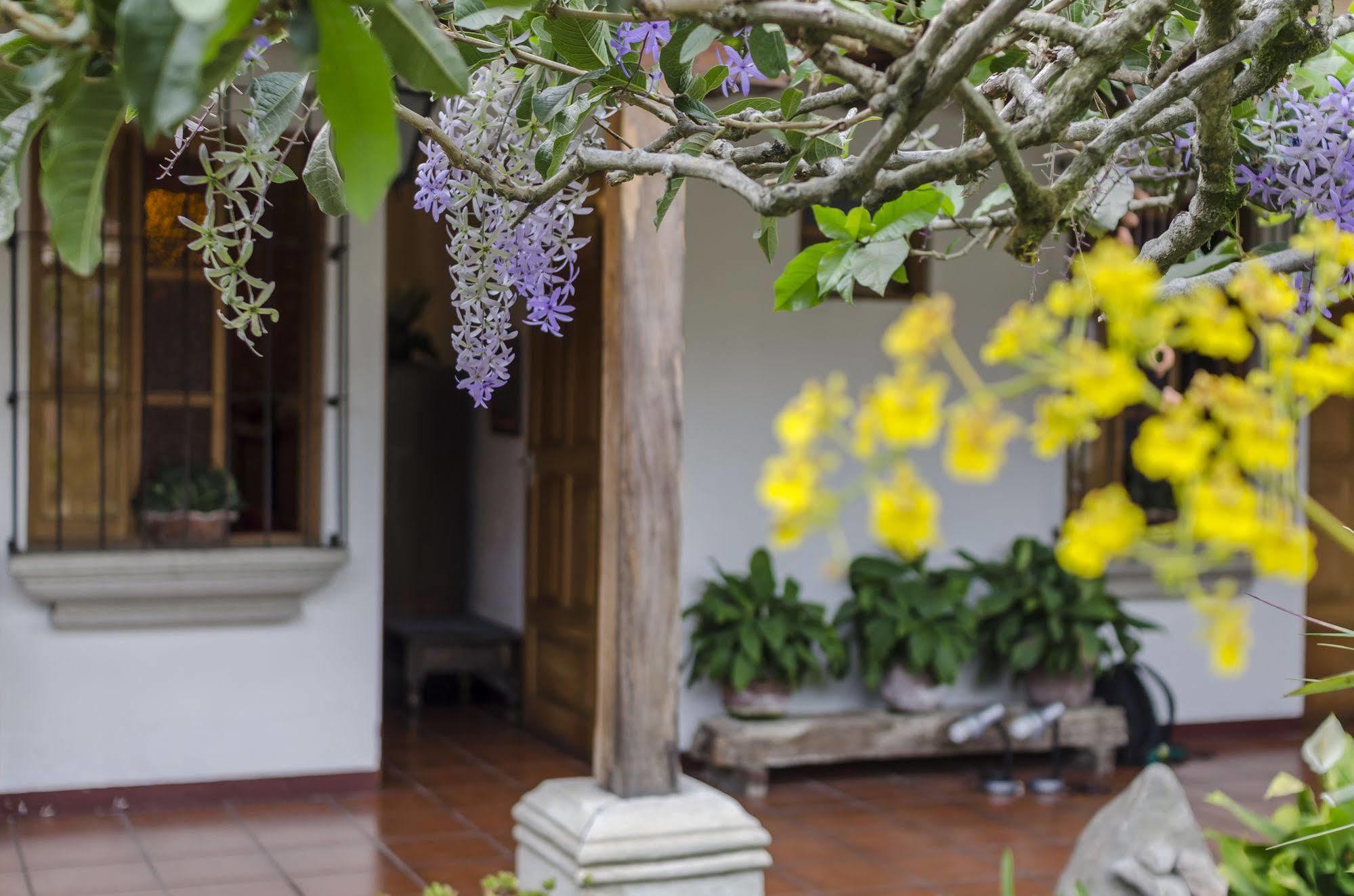 Hostal San Nicolas Antigua Exterior photo